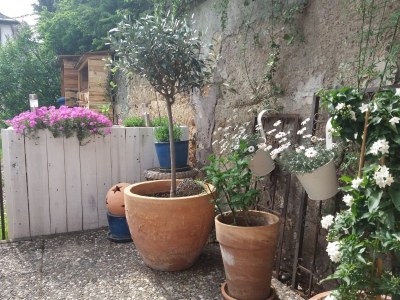 Holiday apartment Tedesco - Outdoor photo 16