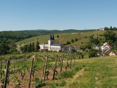 Holiday apartment Tedesco - Environment photo 27