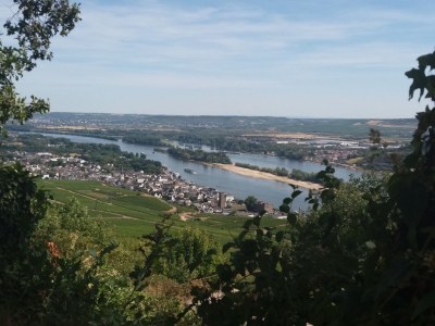 Holiday apartment Tedesco - Environment photo 28