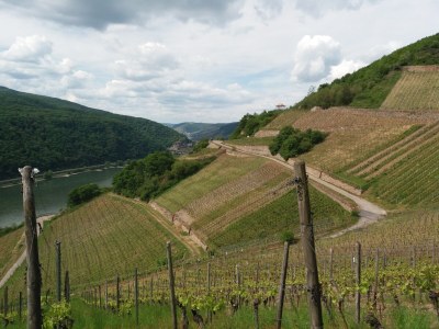 Holiday apartment Tedesco - Environment photo 31