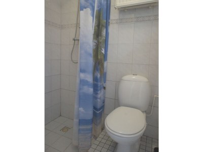 Holiday apartment Type A de luxe "Zee, Bos en Duin" - Features photo 10