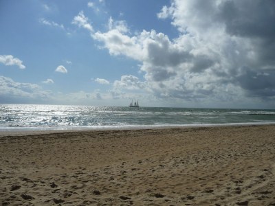 Holiday apartment Type A de luxe "Zee, Bos en Duin" - Environment photo 15