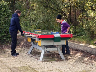 Holiday apartment Type A de luxe "Zee, Bos en Duin" - Environment photo 19