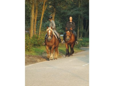 Holiday apartment Type A de luxe "Zee, Bos en Duin" - Environment photo 21