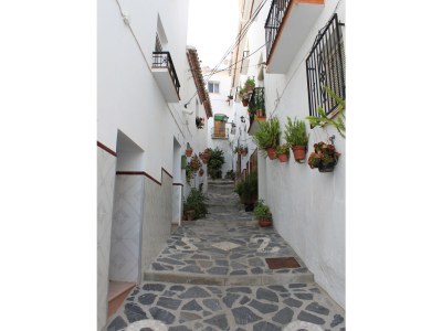 Finca Fuente de Hierro - Environment photo 19