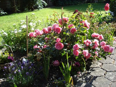 Holiday apartment 'Witt Hus' - Outdoor photo 10