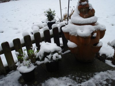 Holiday apartment 'Witt Hus' - Outdoor photo 14