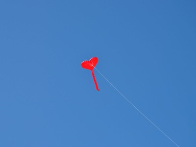 Holiday apartment 'Witt Hus' - Environment photo 35