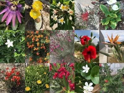 Holiday house Spiti Karma - Outdoor photo 18