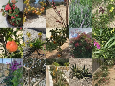 Holiday house Spiti Karma - Outdoor photo 19