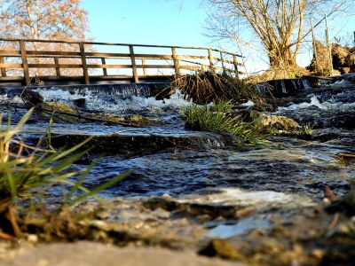 Villa Landhausvilla Weinsheim - Environment photo 27