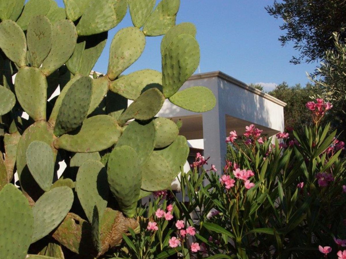 Holiday house Villa Karl - Outdoor photo 3