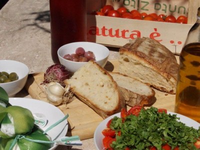 Holiday house Villa Karl - Outdoor photo 15