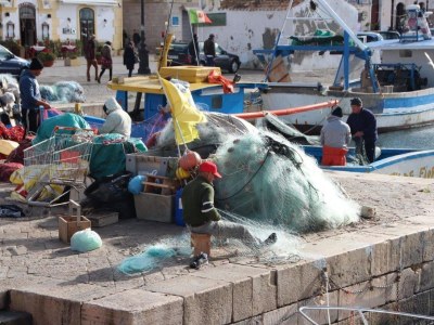 Holiday house Villa Karl - Environment photo 37