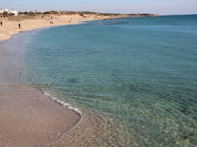 Holiday house Villa Karl - Environment photo 38