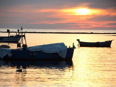 Holiday house Villa Karl - Environment photo 39