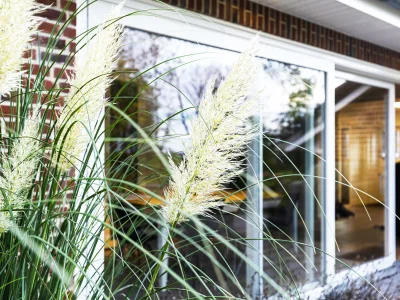 Holiday house JohannisNest - Environment photo 26