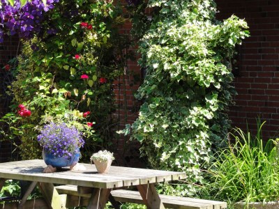 Holiday apartment Bambuswald - Outdoor photo 9