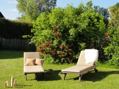 Holiday apartment Bambuswald - Outdoor photo 12