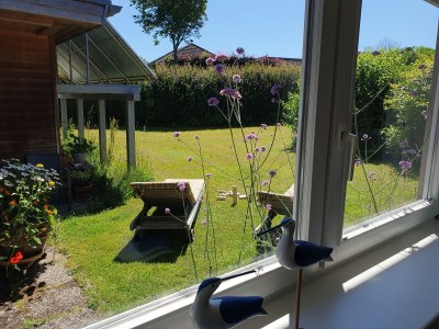 Holiday apartment Bambuswald - Features photo 15