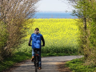 Holiday apartment Bambuswald - Environment photo 25