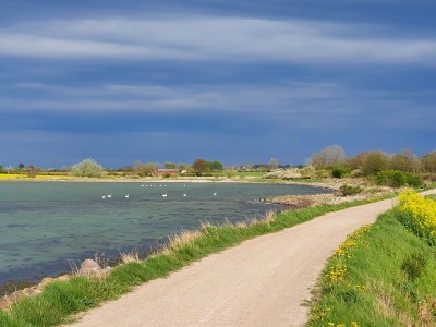 Holiday apartment Bambuswald - Environment photo 29