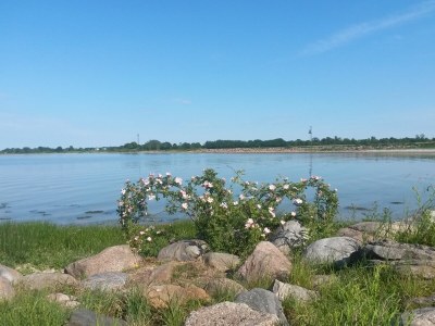 Holiday apartment Bambuswald - Environment photo 32