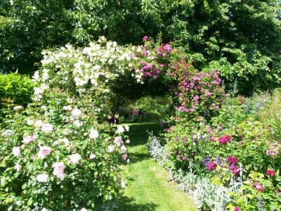 Holiday apartment Bambuswald - Environment photo 35