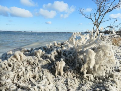 Holiday apartment Bambuswald - Environment photo 36