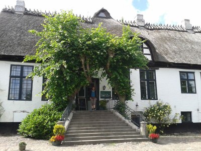 Holiday apartment Bambuswald - Environment photo 39