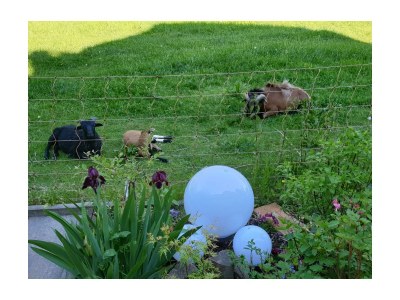 Holiday apartment Rhoen-Thal - Environment photo 36