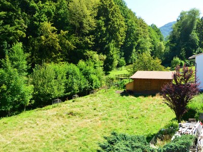 Holiday apartment Rhoen-Thal - Environment photo 37