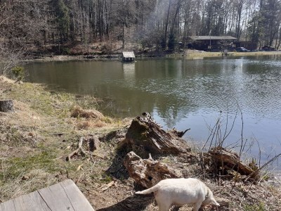 Holiday apartment Rhoen-Thal - Environment photo 38