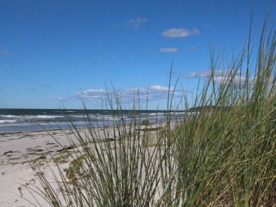 Holiday apartment Wigbold - Environment photo 14