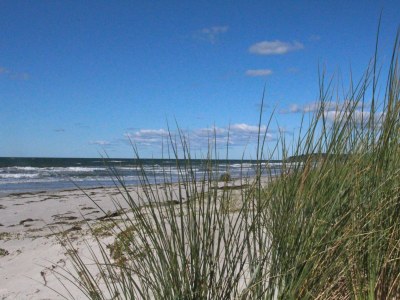 Holiday apartment Maraike - Environment photo 12