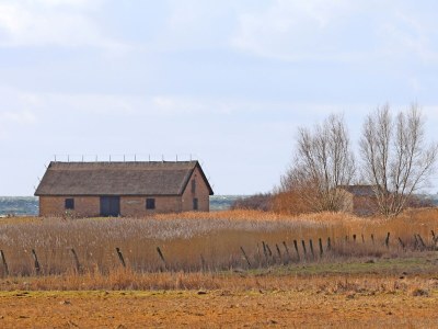 Holiday apartment Frauke - Environment photo 20