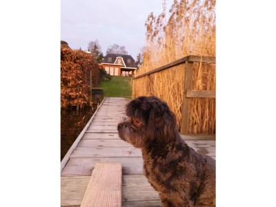 Holiday house Schaal Lake residence - Features photo 32