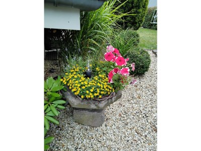 Holiday apartment mit Charme - Outdoor photo 12