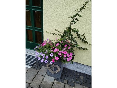 Holiday apartment mit Charme - Outdoor photo 15