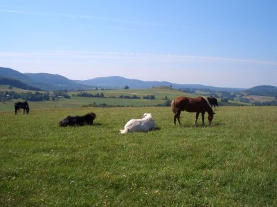 Holiday house Felicitas - Environment photo 14