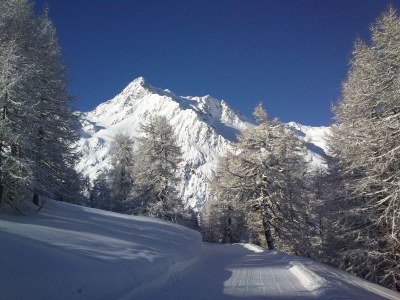 Holiday apartment Haus Susi - Environment photo 22