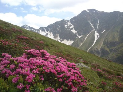 Holiday apartment Haus Susi - Environment photo 24