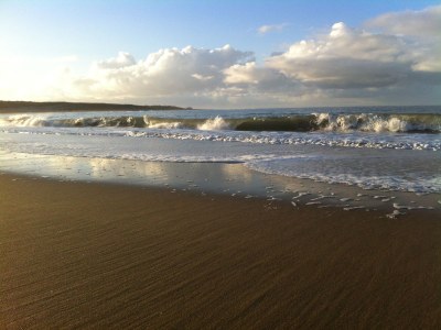 Holiday house Shell Seeker - Environment photo 15