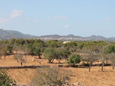 Holiday house Cala Mondrago Melani - Environment photo 28