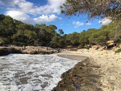 Holiday house Cala Mondrago Melani - Environment photo 33