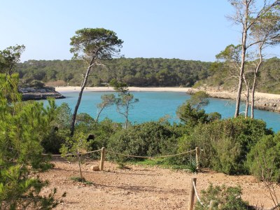 Holiday house Cala Mondrago Melani - Environment photo 36