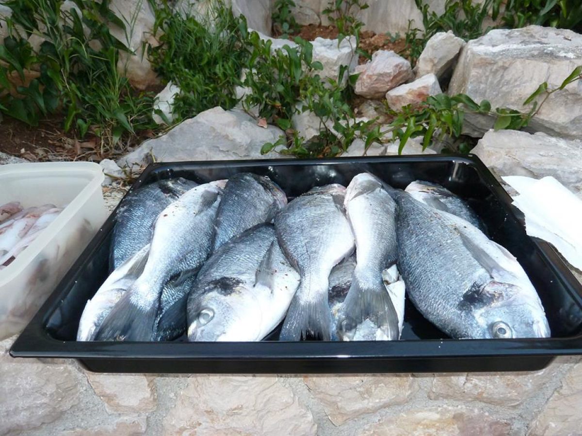 Holiday apartment Lea Apartments - Outdoor photo 5