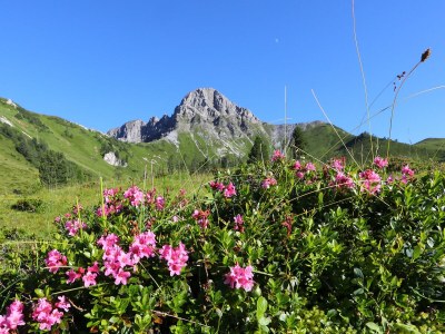 Holiday apartment Wallnerhof - Environment photo 17