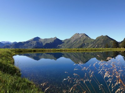 Holiday apartment Wallnerhof - Environment photo 19