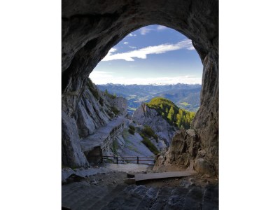 Holiday apartment Wallnerhof - Environment photo 23